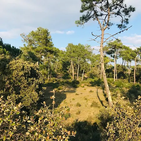 Lägenhet Sable Et Ocean *