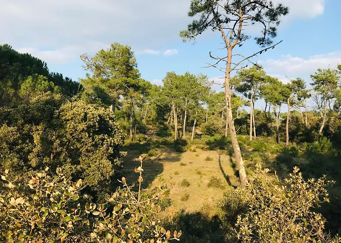 Appartement Sable Et Océan *